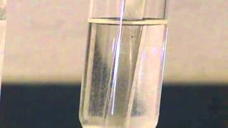 lab 44 The Effect of Temperature on the Solubility [upl. by Cigam943]