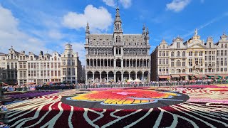 Brussels Flower Carpet 2024 [upl. by Nevin]