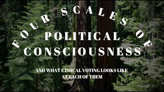 Four Scales of Political Consciousness [upl. by Bodkin]