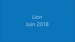 Lion JUIN 2018 [upl. by Nosiddam]