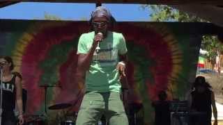 Marlon Asher  Ganja Farmer Live at Reggae On The Mountain 2015 [upl. by Jacki122]