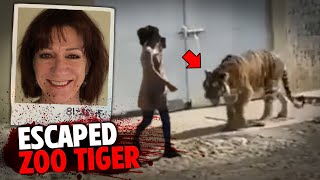 This DEADLY Escaped Tiger BRUTALLY Attacks Zoo Visitor [upl. by Arahsal]