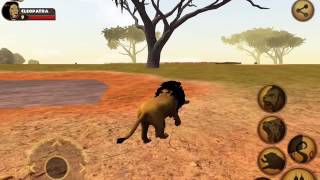 Ultimate Lion Simulator [upl. by Lanza]