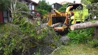 Willco whole tree chipping [upl. by As226]