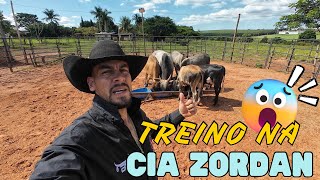 TREINO NA CIA CARLOS ZORDAN COM 20 TOUROS DE RODEIO vidarústica rodeio [upl. by Quiteria740]