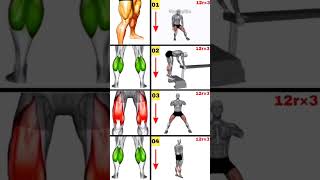 Transform your Leg muscles grow exercise shorts viral [upl. by Machos]