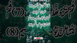 Surah Takasur recitation Holy Quran shortsfeed [upl. by Christalle]