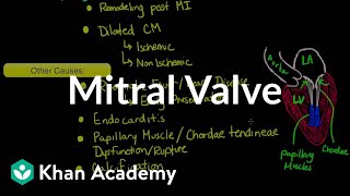 Mitral valve regurgitation and mitral valve prolapse  NCLEXRN  Khan Academy [upl. by Nalym277]