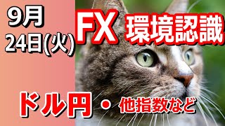 【TAKA FX】ドル円他各通貨の環境認識解説。各種指数、GOLDなど 9月24日火 [upl. by Prader]