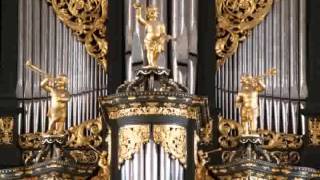 Sietze de Vries  Groningen Martinikerk Ein Feste Burg improvisation [upl. by Weisberg267]