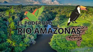 El Poderoso Río Amazonas Datos Selva y Conservación [upl. by Giraud]