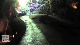 Parque de las Cavernas del Río Camuy Puerto Rico [upl. by Aelyak]