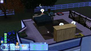 Lets Play Die Sims 3 Einfach Tierisch 014 Eleanor als Tagespflegerin [upl. by Winne]