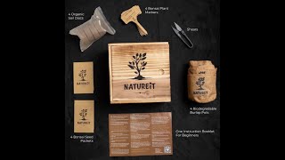 Wooden Bonsai Kit DIY Tutorial StepbyStep Guide to Growing Your Bonsai from Seeds [upl. by Hanzelin399]