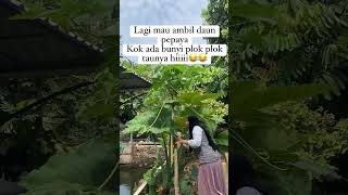 Ngapain yak😅😅 fypyoutube comedy comedykocak fypシ゚viral ngakak lucu comedyngakak [upl. by Stav625]