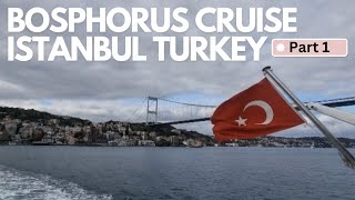 BOSPHORUS CRUISE ISTANBUL TURKEY bosphoruscruise istanbulturkey boattour turkeytourism [upl. by Yekim]