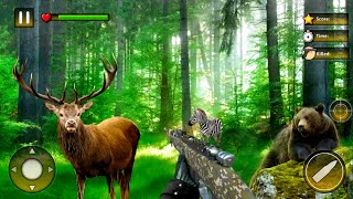 Wild Animals Hunting Games BALOTGAMERZ [upl. by Enalda716]