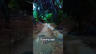 Menikmati keindahan kebun sawit jangkaualuas fypシ゚ [upl. by Llebpmac879]