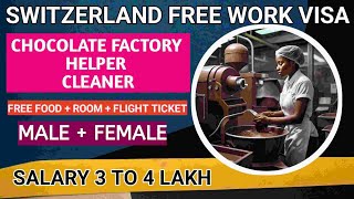 Switzerland Free Work Visa Switzerland Free Jobs for Indian Cleaner Helper Jobs Switzerland [upl. by Armalda255]