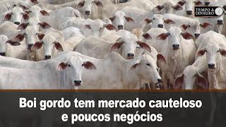 Boi gordo tem mercado cauteloso e poucos negócios nesta sextafeira [upl. by Fairfax]