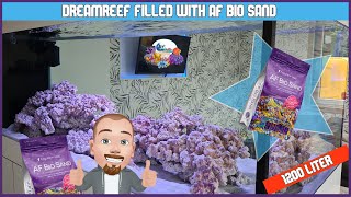 Filled the dream reeftank with Aquaforest Bio Sand [upl. by Demeyer910]