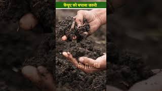 Vermicompost Business में केंचुए की सही देखभाल क्यों ज़रूरी  shorts [upl. by Nibroc551]