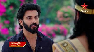 NagaPanchami  Promo  4th Jan 2024  Star Maa Serials  Mon Sat at 8 pm  Star Maa [upl. by Krissie42]