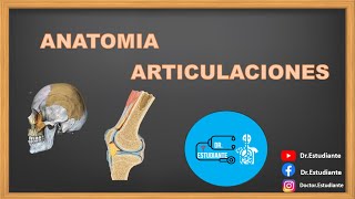 ANATOMÍAARTICULACIONES Fibrosas Cartílaginosas Sinoviales [upl. by Celestia]