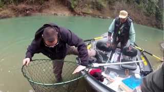 EEL River Steelhead Fishing Drift Boat NorCal Sportfishing Adventures Jan 2013 [upl. by Nimocks]