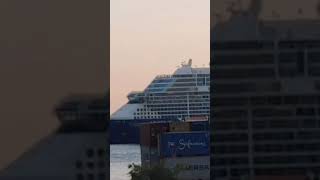 Zuppa del Corso Celebrity Cruises Ascent [upl. by Zenitram283]