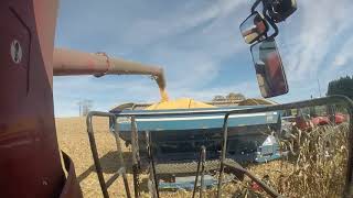 Skyblu Farms Corn Harvest 2017 [upl. by Geraldina373]