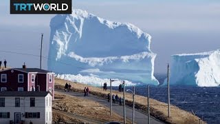 Icebergs Arrive First icebergs of the season spotted off Canada [upl. by Slater]