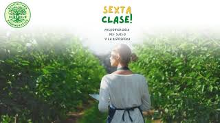 Agricultura Regenerativa Sexta clase 🌿 [upl. by Assilat]