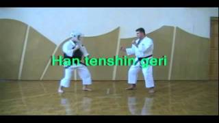 Shorinji Kempo Techniques  2 Kyu Goho [upl. by Atiuqad405]