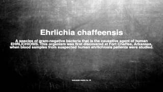 Medical vocabulary What does Ehrlichia chaffeensis mean [upl. by Omora]