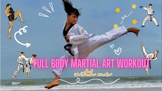 Full Body Martial Art Workout 🥋 l Beginner friendly with stretches [upl. by Nyleaj342]