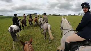 Hunting at Rockley Manor 14424 with the South Down Bloodhounds [upl. by Ginzburg]