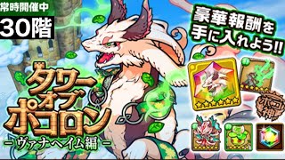 ポコダン【タワーオブポコロン】ヴァナヘイム編30階 [upl. by Marie-Ann]