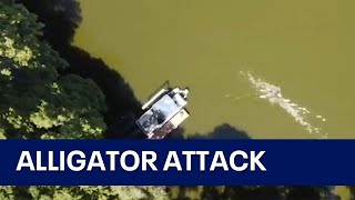 Drone captures moment alligator attacks swimmer in Florida lake [upl. by Llerruj]