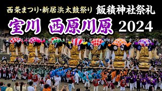 室川 西原川原 2024 新居浜太鼓祭り・西条まつり 飯積神社祭礼 20241017 西条祭り [upl. by Erme]