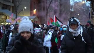 Martin Luther King Day ProPalestine Rally Demands Gaza Ceasefire in Manhattan [upl. by Maltz]