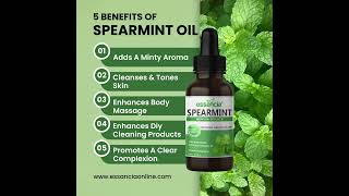 Essancia  🍃Spearmint Essential Oil 😊 [upl. by Gen]