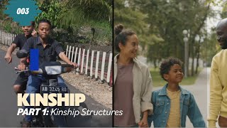 Kinship  Part 1 Kinship Structures [upl. by Redla]