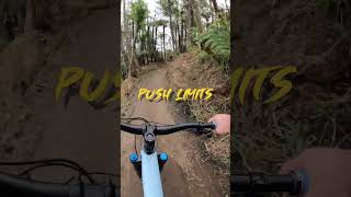 Stumpjumper Evo Comp Unlocking Your MTB Passion [upl. by Ellerd48]