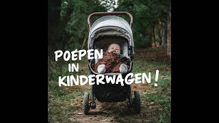 Poepen in de Kinderwagen  Spotify Hits Grappige Liedjes Muziek De Tekentovenaar [upl. by Renner]