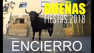 DUEÑAS ENCIERRO TRADICIONAL FIESTAS 2018 [upl. by Ribak]