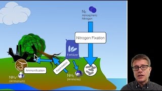 Biogeochemical Cycles [upl. by Yaya]