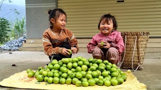 Two poor children picked apples to sell at the market and buy new blankets  Ly Ton Quang [upl. by Uriiah]