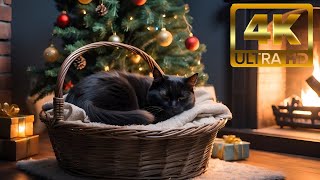 ASMR Cozy Christmas Cabin Snowfall Twinkling Lights  Sleeping Cat by Fireplace and raining 🐱🔥🎄 [upl. by Damaris]