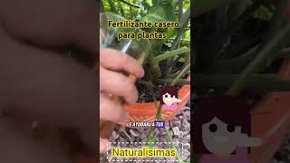 consejo plantas fertilizante casero para plantas [upl. by Toille]